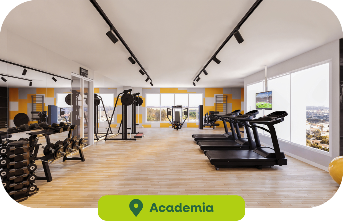 Academia
